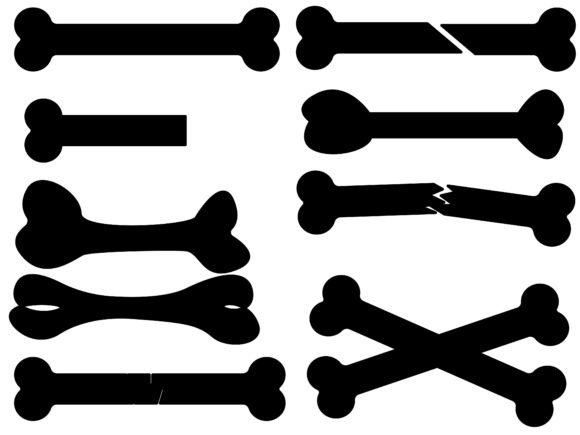 Bone Collection: Graphics & Web Elements for Local Branding