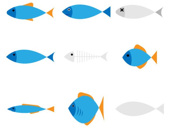 Fish Collection Hand Drawn: Graphics for Web Elements